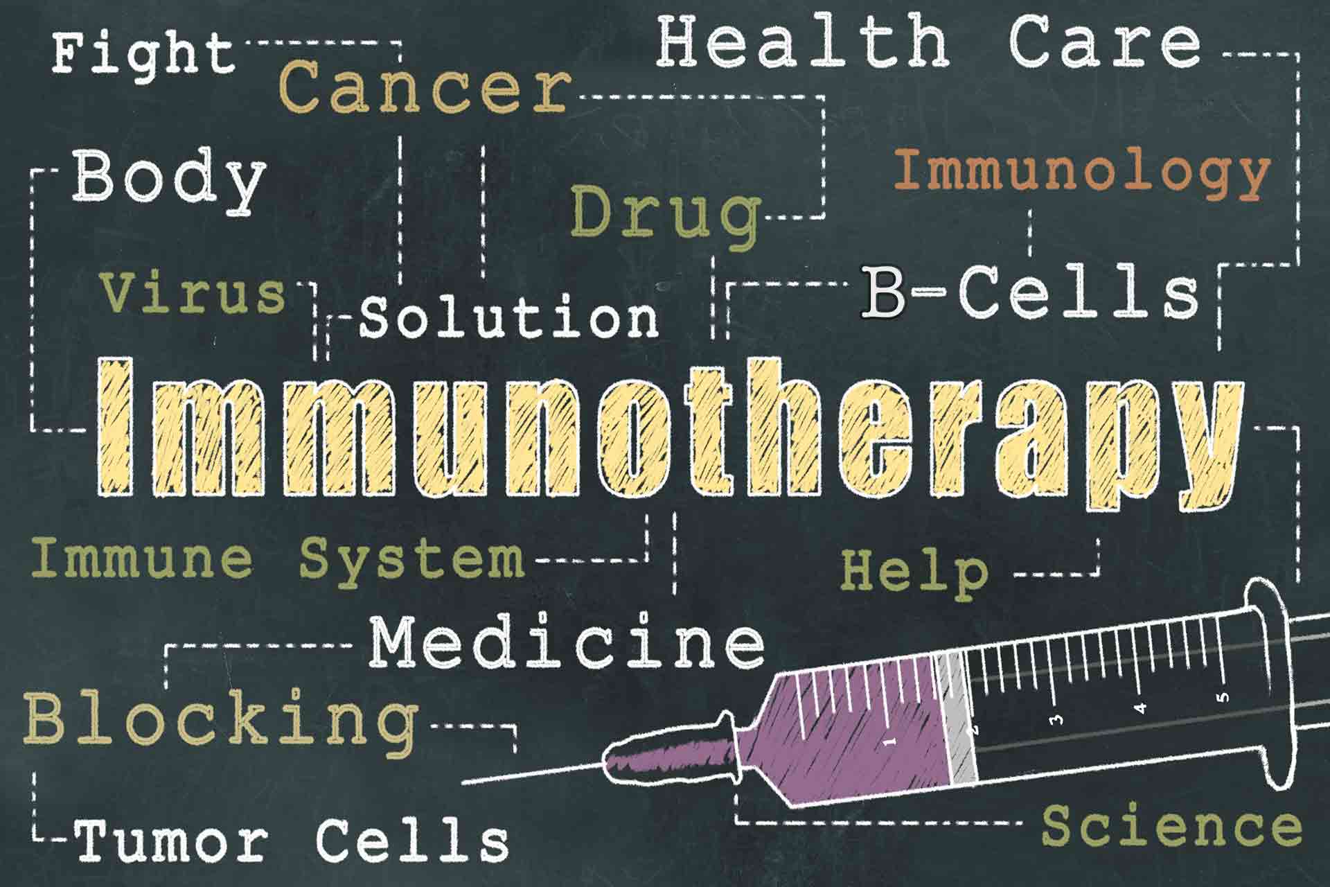 Diversifying your Cancer Immunotherapy Investments with B cell ...